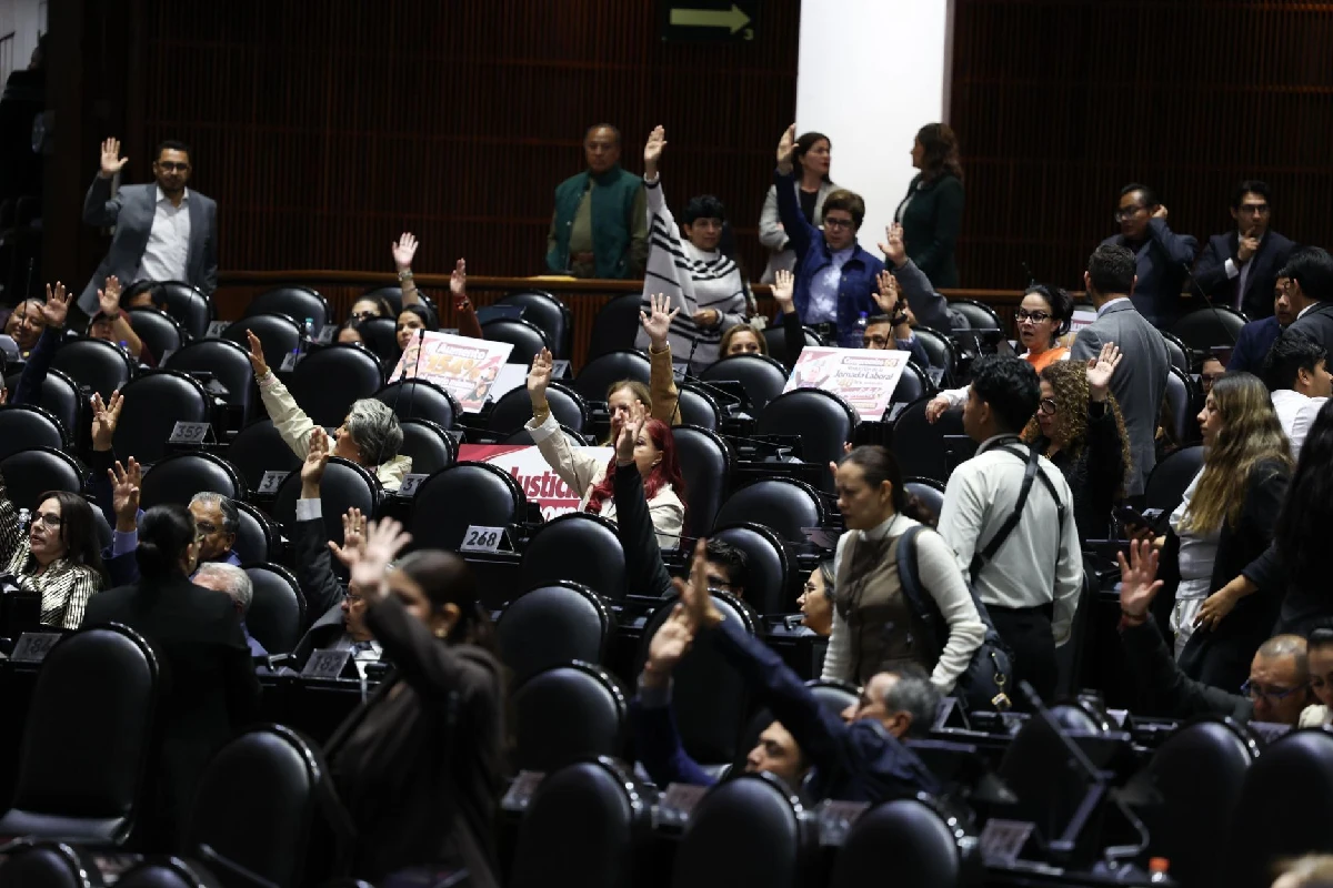 Diputados aprueban la ley antimemes; prevé multas de más de 4 millones | Grupo Animal - Ilustración 1